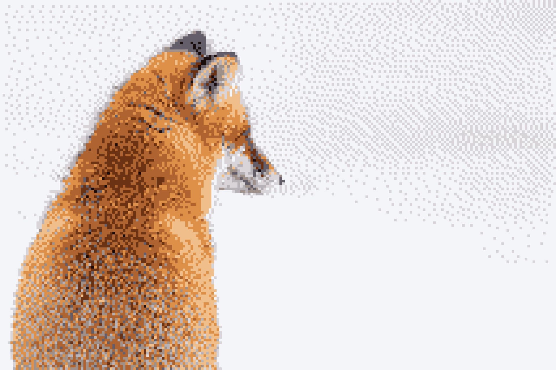 Dithered red fox looking upward
